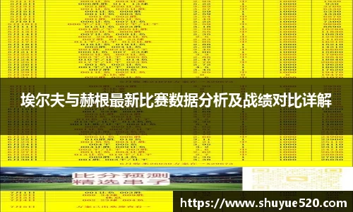 埃尔夫与赫根最新比赛数据分析及战绩对比详解