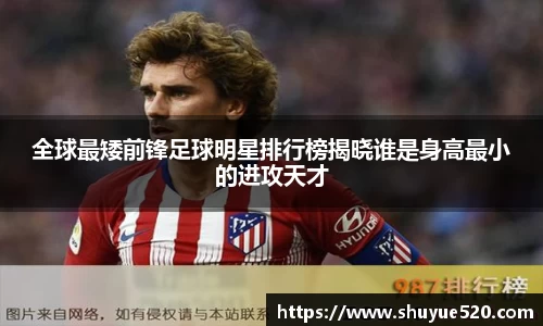 米兰milan官方网站